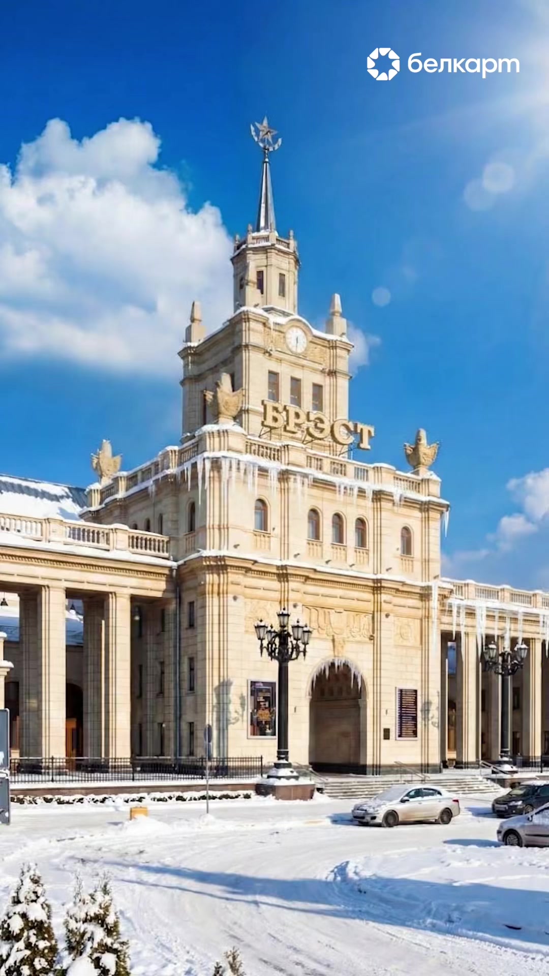 Комплексный видео- и SMM-проект для Belkart